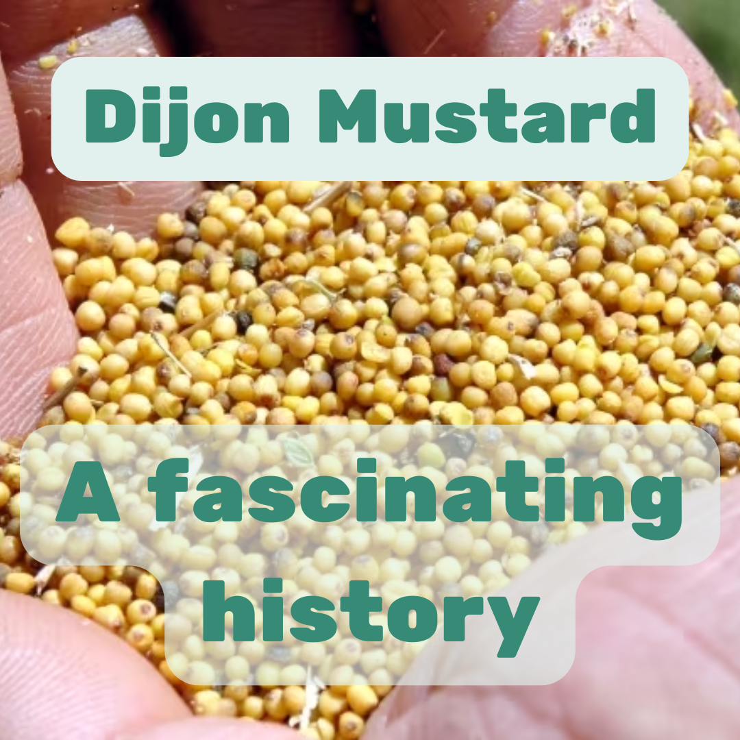 The Fascinating History of Dijon Mustard: From French Tradition to Global Staple