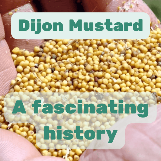 The Fascinating History of Dijon Mustard: From French Tradition to Global Staple - Max + Tom