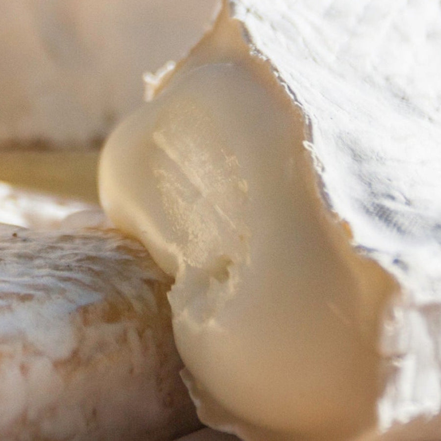 Mystery Cheese